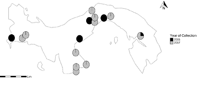 Invasion history of Aedes (Stegomyia) albopictus into Mesoamerica based on mitogenomes and Wolbachia symbionts: Multiple introductions with temperate origins.