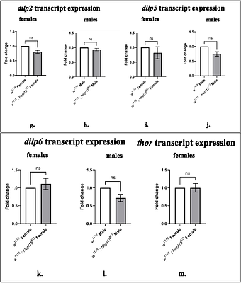 Drosophila Nepl15 controls glycogen and lipid storage by modulating insulin signaling