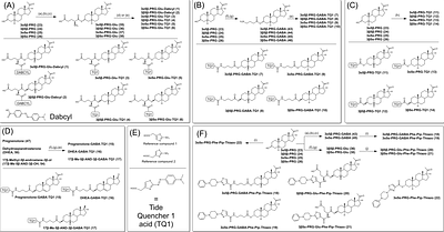 Steroid-based Tide Quencher 1 probes enable real-time mapping of novel non-canonical cholesterol sites on the M1 muscarinic receptor