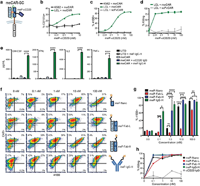 Meditope-Enabled Chimeric Antigen Receptors Facilitate Plug-and-Play Control of T Cells