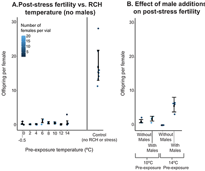 A hormetic model of rapid cold hardening in Drosophila melanogaster reveals threshold effects on survival and low fertility resilience