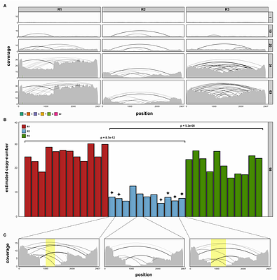 Rapid emergence of hyperparasitic elements may stop P-element invasions in the absence of a piRNA-based host defence
