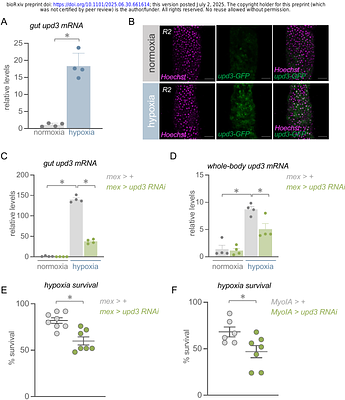 Cytokine control of systemic hypoxia tolerance in Drosophila.