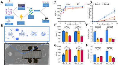 Scalable intracellular delivery via microfluidic vortex shedding enhances the function of chimeric antigen receptor T-cells