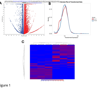 Hepatic Transcriptomic Landscape of Chicken Reveals Host Responses to Spotty Liver Disease
