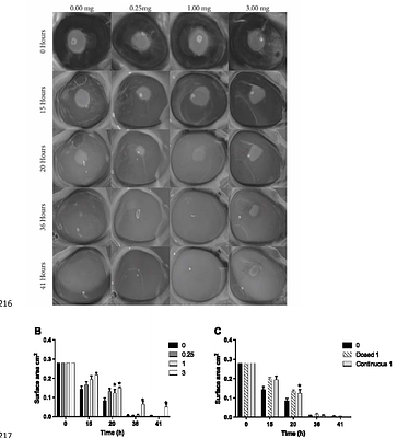 The effect of ciprofloxacin and gentamicin on wound healing in ex vivo sheep cornea model