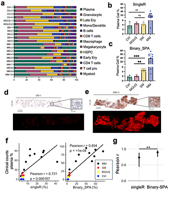 Binary-SPA: A Reference-Free Method for Cell Annotation in High-Resolution Spatial Transcriptomics