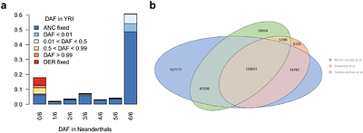 Effects of introgressed Neanderthal alleles on present-day brain morphology