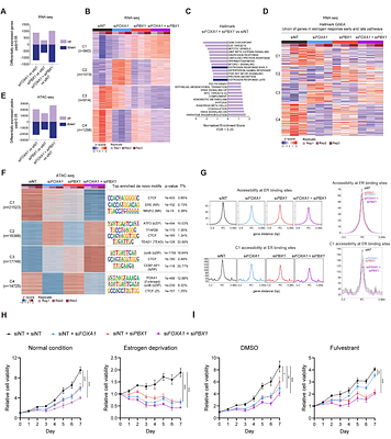 Integrated Interactomics Reveals Novel Protein Associations: The FOXA1-PBX1 Complex as a Case Study