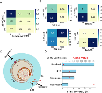 Dengue virus suppression by 25-hydroxycholesterol is mediated by a combination of membrane fusion inhibition, innate immune activation and cholesterol biosynthesis dysregulation