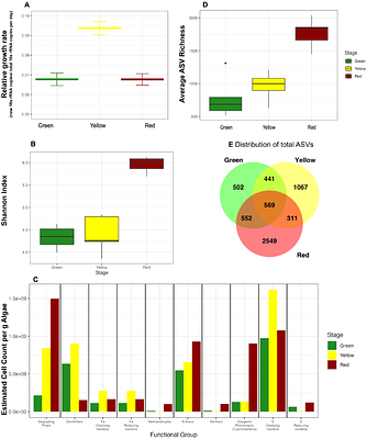 Composition, growth, succession, and function in the Cladophora microbiome: insights from quantitative Stable Isotope Probing and NanoSIMS imaging