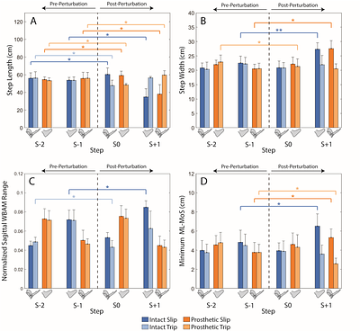 An open-source application for applying rapid transient perturbations using a split-belt treadmill