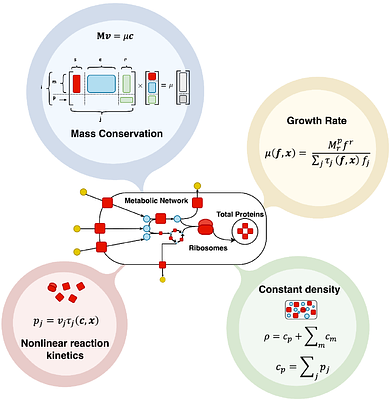 Cell Growth Simulator: a user-friendly web server for growth balance analysis