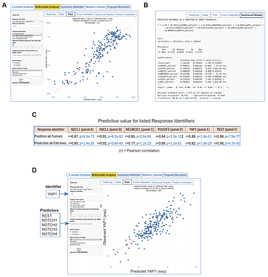 SCLC-TumorMiner: A Directly Accessible Genomics Resource for Precision Oncology: Big Data for Small Cells
