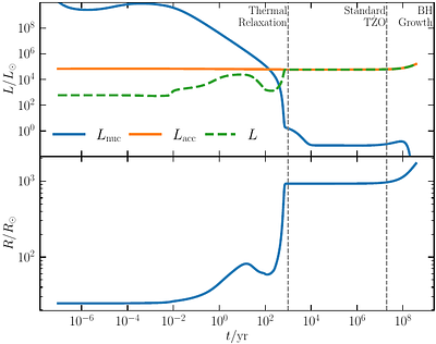 Neutron Star-Main-Sequence Star Collision: Formation and Long-Term Evolution of Thorne-Żytkow Objects
