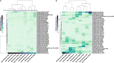 Propagule and Juvenile-derived Foraminiferal eDNA across intertidal habitats and its implications for accurate sea-level reconstruction