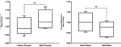 Neuroprotective Effect of Intraperitoneal Humanin-G in Retinal Degeneration of Royal College of Surgeons Rats