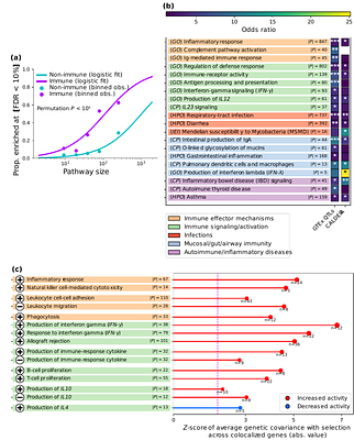 Ancient DNA reveals that natural selection has upregulated the immune system over the last 10,000 years