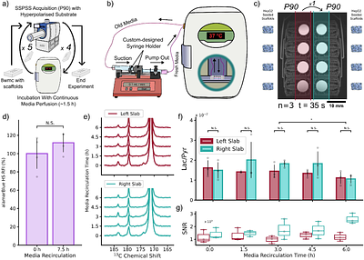 A deployable microfluidic platform for parallel and longitudinal hyperpolarised magnetic resonance metabolic phenotyping
