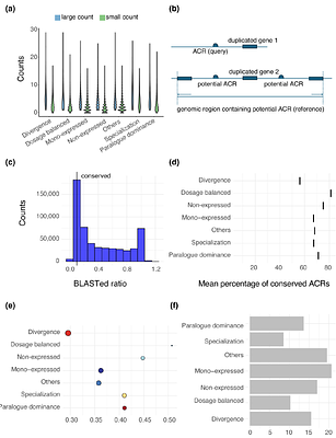 Using single-cell genomics to explore transcriptional divergence and cis-regulatory dynamics of duplicated genes