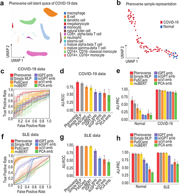 Deep interpretable learning of sample representations for characterizing disease states in single-cell transcriptomics