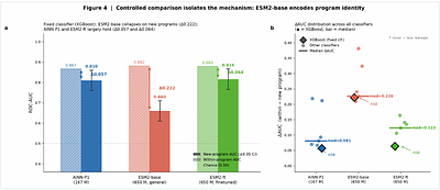 AINN-Express: A Leakage-Aware, Sequence-Only Predictor of VHH Antibody Expression Built on the AINN-P1 Protein Foundation Model