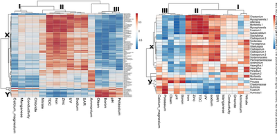 Dynamics in microbial communities associated with the development of soil fatigue in banana