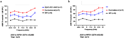 Combination of engineered cell type-specific promoters and a high-efficiency AAV capsid restores hearing in adult DFNB1 mice model with demonstrated safety in nonhuman primate