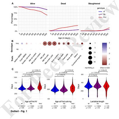 Clinical, Biological and Pathological Investigation of Bovine Lymphocyte Intestinal Retention Deficit (BLIRD): a new genetic disorder affecting life expectancy and immunity in Holstein dairy cattle