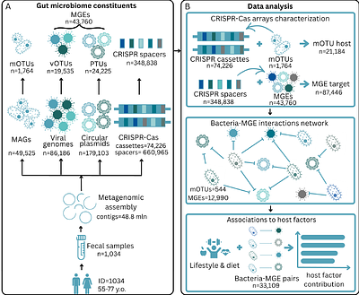 CRISPR-Cas immune repertoires as an ecological record of bacterial interactions with mobile genetic elements in the human gut