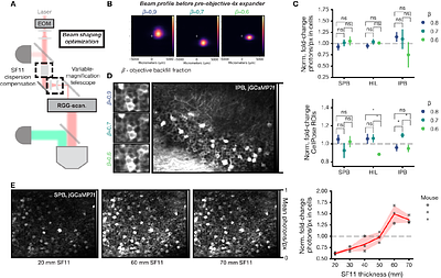 Photon-Resolved Excitation-Denoised (PRED) Three-Photon Imaging Improves Detection of Neuronal Activity in Awake and Behaving Mice