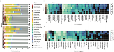 Active microbial communities and their extrachromosomal elements link organic matter degradation to methane cycling in anoxic sediments