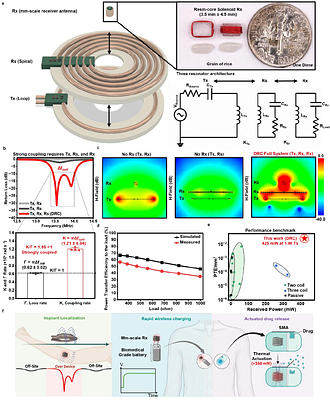 Distributed resonant coupling enables high efficiency power transfer to mm-scale bioelectronics