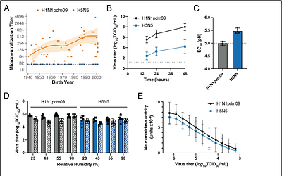 A lethal human H5N5 influenza virus isolate exhibits low pandemic risk traits