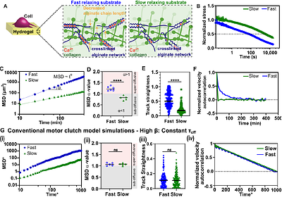 Glassy Adhesion Dynamics Govern Transitions Between Sub-Diffusive and Super-Diffusive Cell Migration on Viscoelastic Substrates