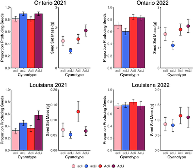 A field experiment assessing the roles of drought, herbivory, and local climate on cyanogenesis cline formation and local adaptation in Trifolium repens