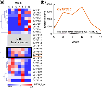 Molecular basis behind the isoprene emission diversity in Fagaceae