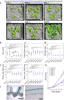 Stepwise evolution of the developmental and symbiotic functions of DELLA in land plants