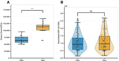 Unfiltered: A rapid method for Agrobacterium-mediated transformation of Basidiomycete and Ascomycete yeasts