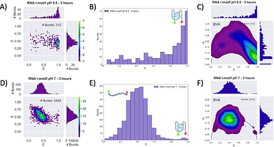 RNA i-Motif Formation at Neutral pH