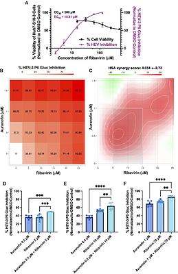 Auranofin Inhibits Hepatitis E Virus Replication Via Reactive Oxygen Species