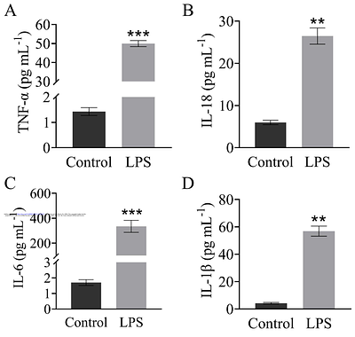 The mechanism of Hsa_circ_0000629 in bronchial asthma through sponge adsorption of miR-212-5p/NLRP3