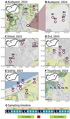 The effect of ULV-based mosquito control on target and non-target organisms in Hungary: an experimental field study