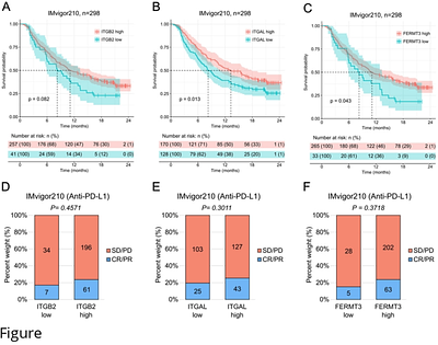 β2-integrins as biomarkers in urothelial cancer