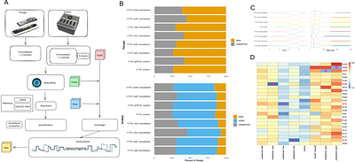 Interrogating the Escherichia coli epitranscriptome via CRISPR interference and Nanopore native RNA sequencing