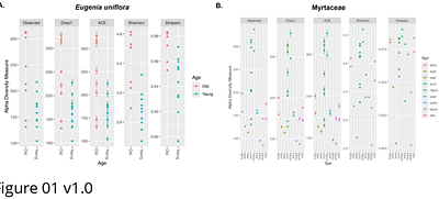 Bacterial Signatures and Community Structure in the Phyllosphere of Eugenia uniflora: Developmental Dynamics and Core Microbiome in Myrtaceae