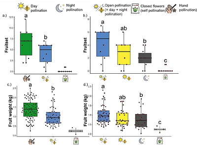 Nocturnal pollination services as an ecological safety net for papaya production in a tropical biodiversity hotspot