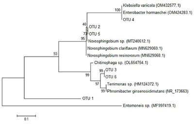 Metagenomic profiling of bacterial endosymbionts in wild mutant and permethrin-susceptible head lice shows an expanded microbiota in the resistant strain