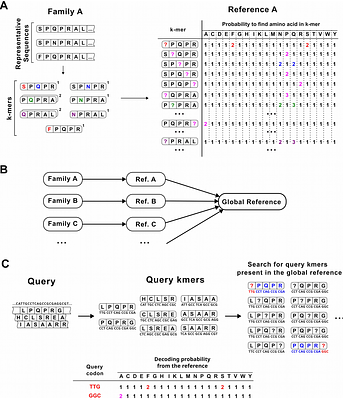 New genetic codes in bacteria and archaea identified with a fast k-mer based algorithm