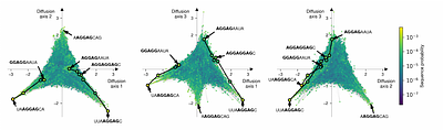 Inference and visualization of complexgenotype-phenotype with gpmap-tools